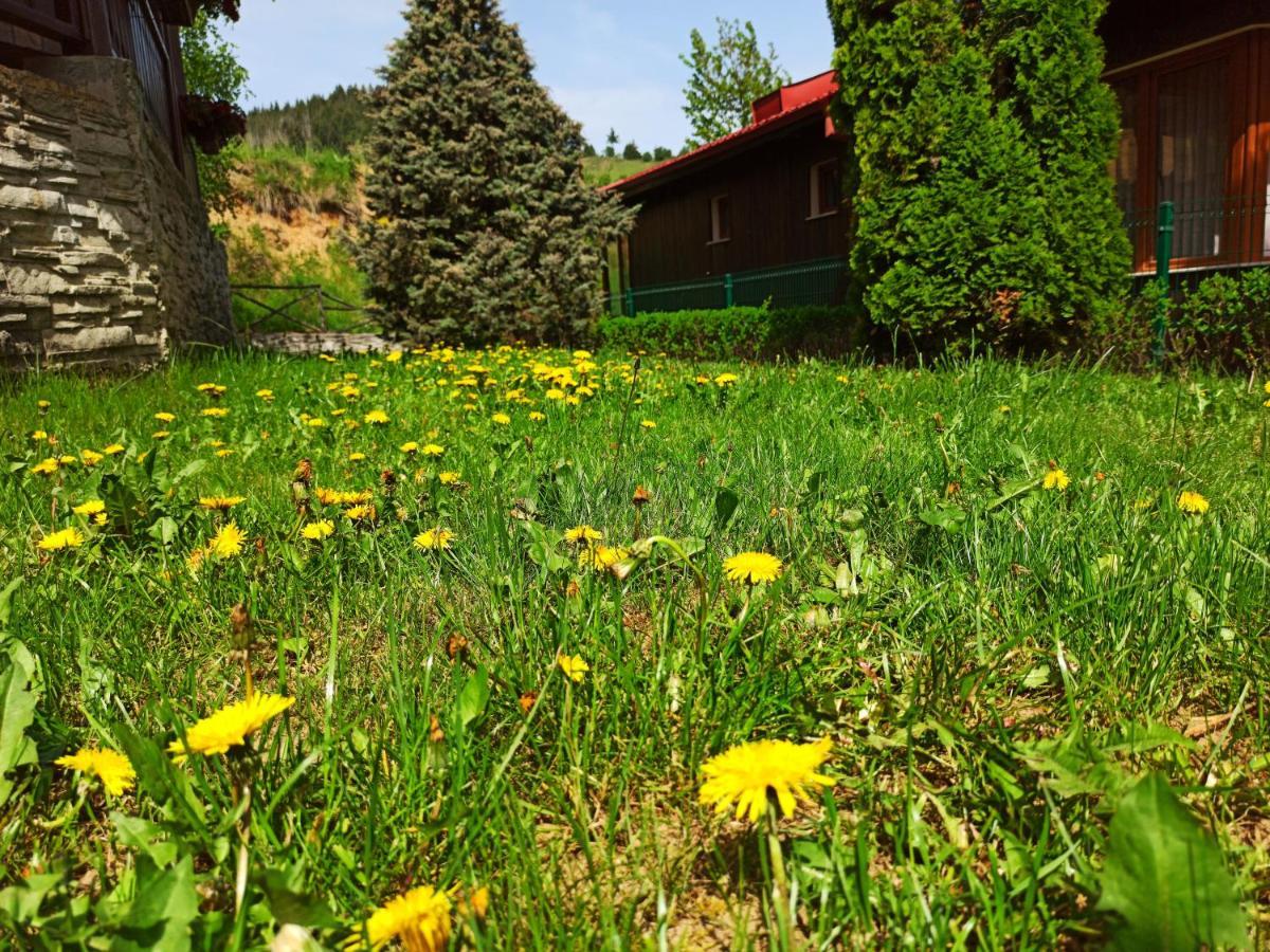 Rodopi Houses Chepelare Extérieur photo