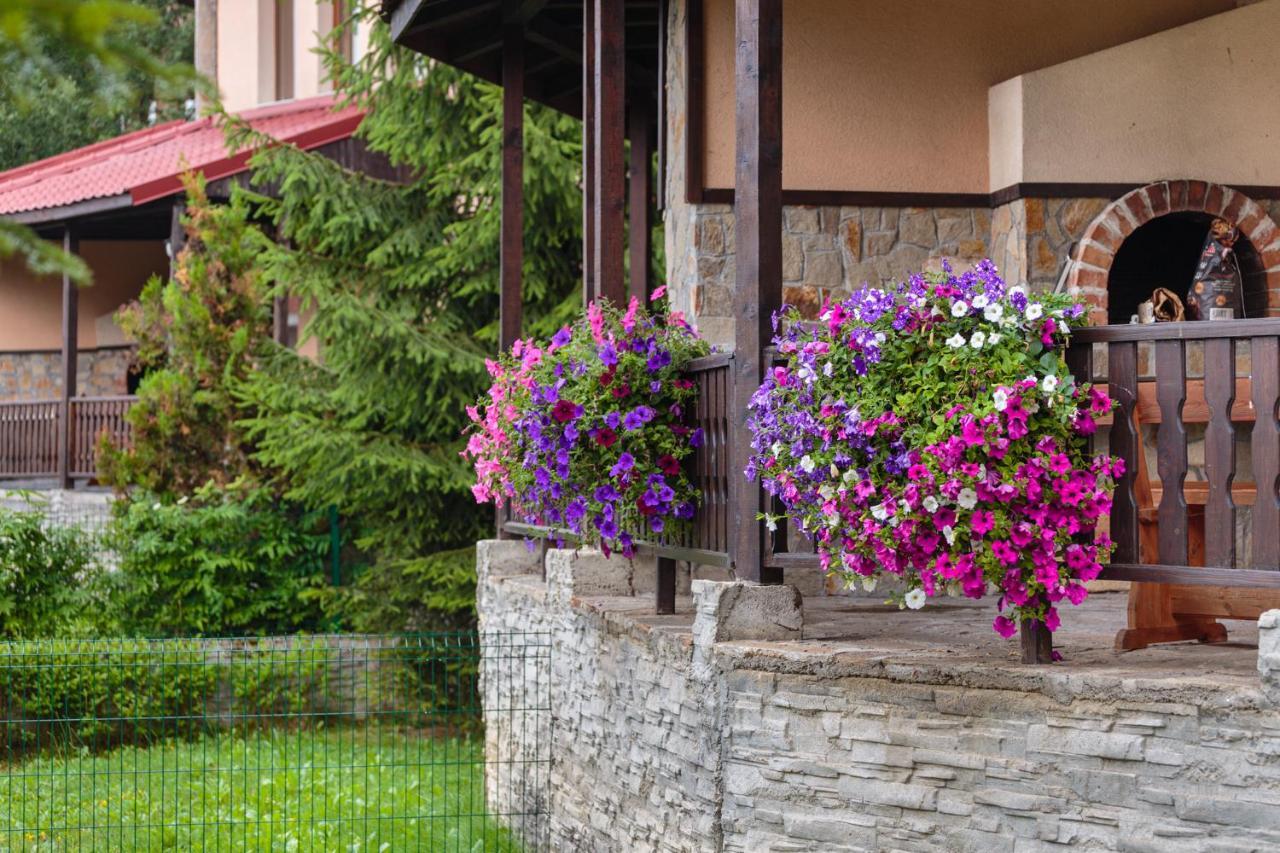 Rodopi Houses Chepelare Extérieur photo