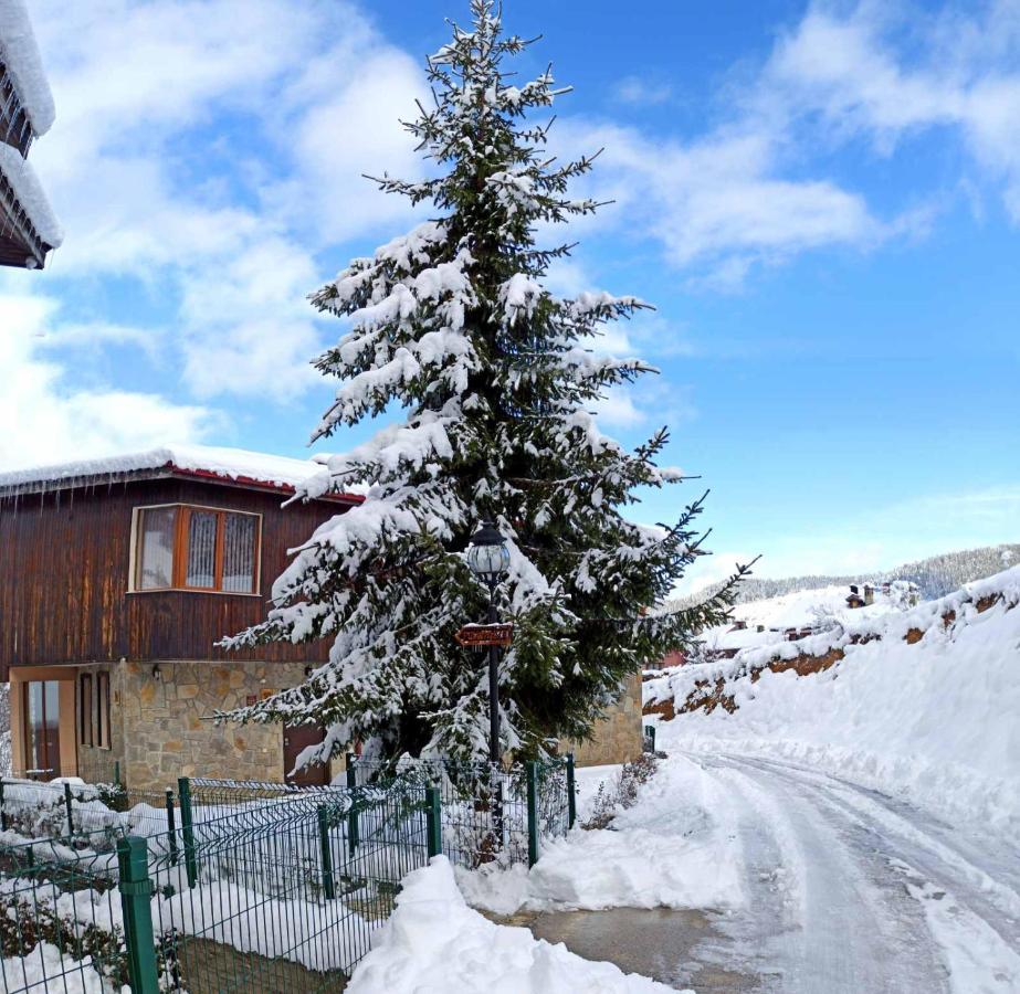 Rodopi Houses Chepelare Extérieur photo