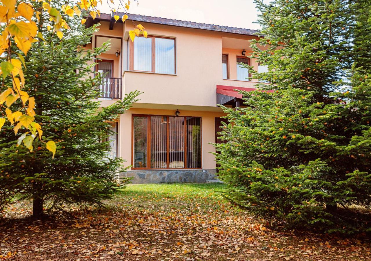 Rodopi Houses Chepelare Extérieur photo